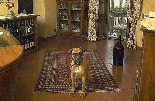 Locanda Martelletti Cocconato Ngoại thất bức ảnh